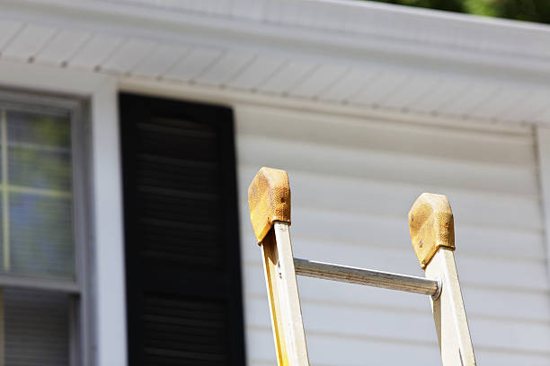 Best Insulated Siding Installation  in Ludington, MI